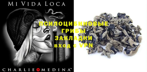 метадон Алексин