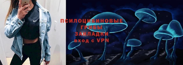 метадон Алексин