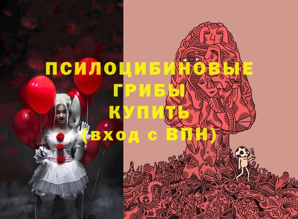 метадон Алексин